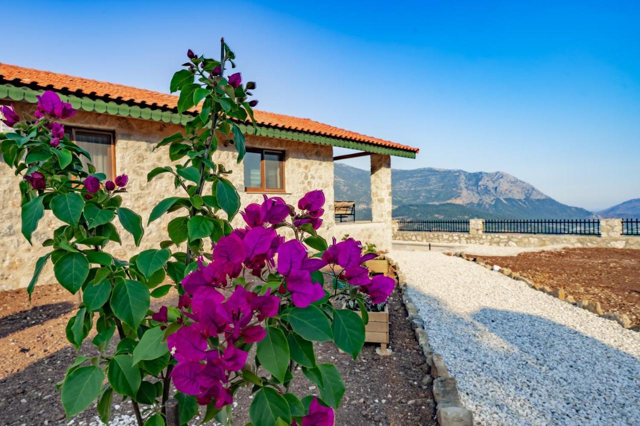 Teras Villa Adrasan