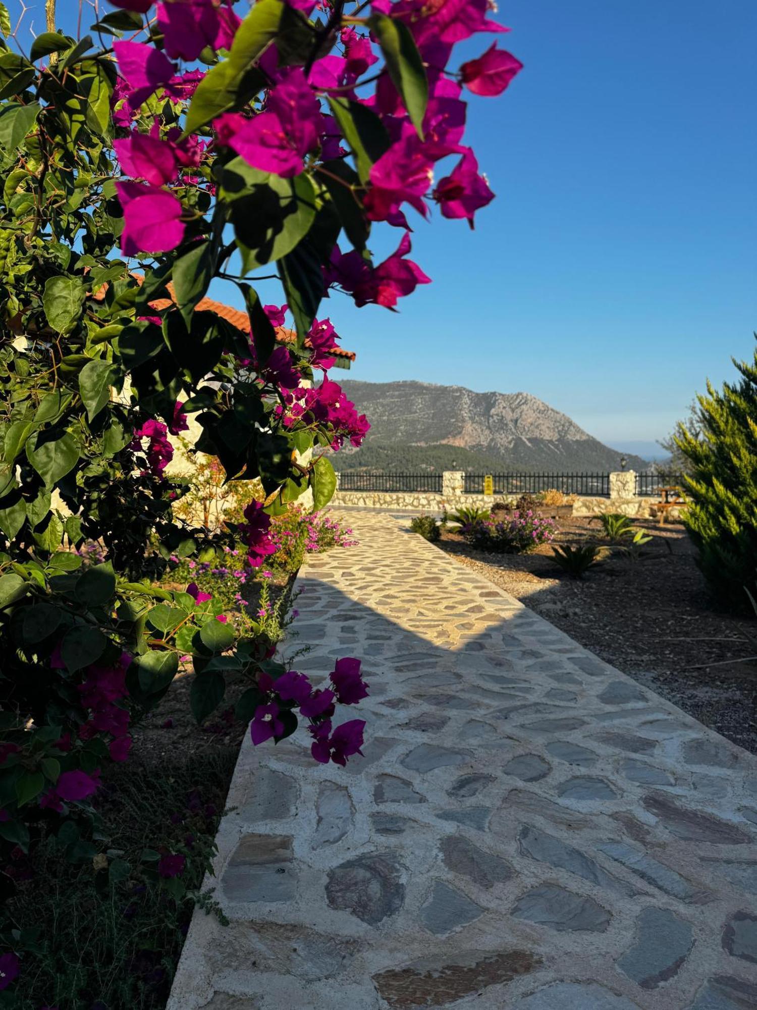 Villa Teras